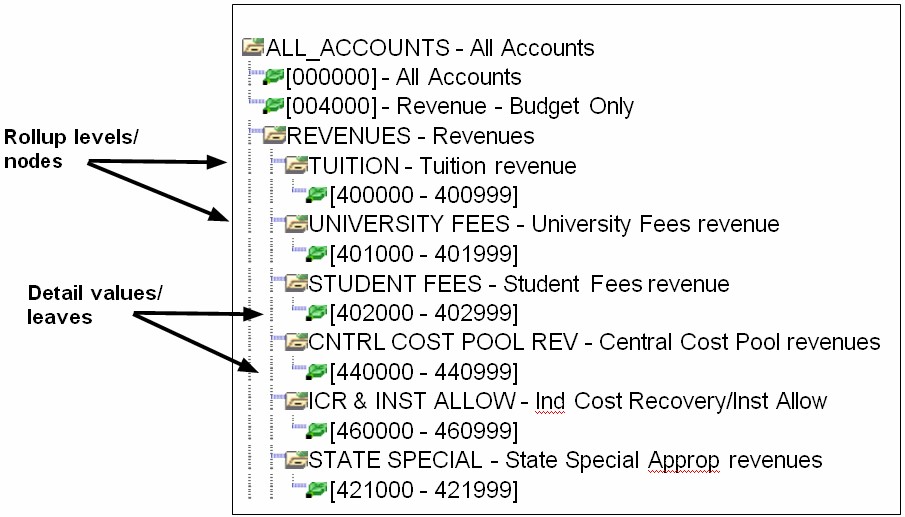 Account tree highlighting nodes and leaves. A leaf is the lowest detail level value and leaves roll up to a node. For example, there are detail values for different kinds of revenue activity (leaves) that roll up to a value for all revenue (node).